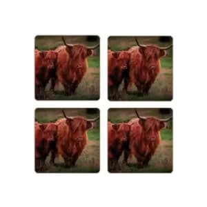 Rural Roots - Highland Cows Coaster Pack Of 4