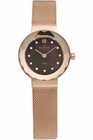 Ladies Skagen Leonora Watch 456SRR1