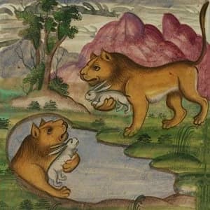 Not Waving & Dark Mark - Downwelling White Vinyl