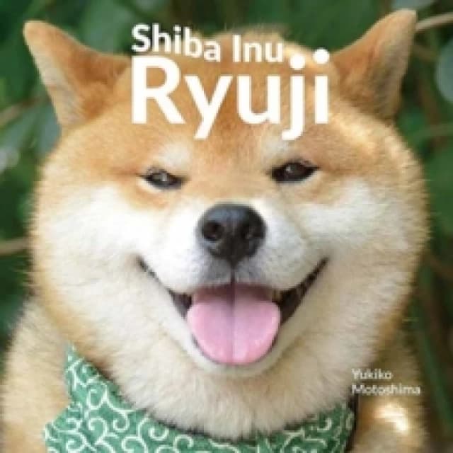 Shiba Inu Ryuji Hardback