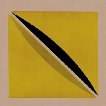 Snow Palms - Origin and Echo Vinyl