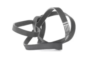 CONTITECH V-ribbed belt VW,AUDI,CHRYSLER 6PK2490 059903137T,06E903137R,4612018 4612418,4612928,059903137T,06E903137R