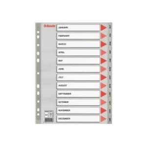 Esselte 100114 A4 Plastic Dividers Grey with 12 Monthly Tabs (11 holes)
