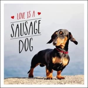 Love Is a Sausage Dog by Charlie Ellis Hardback