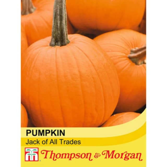 Thompson & Morgan Pumpkin Jack Of All Trades F1 1 Seed Packet (10 Seeds)