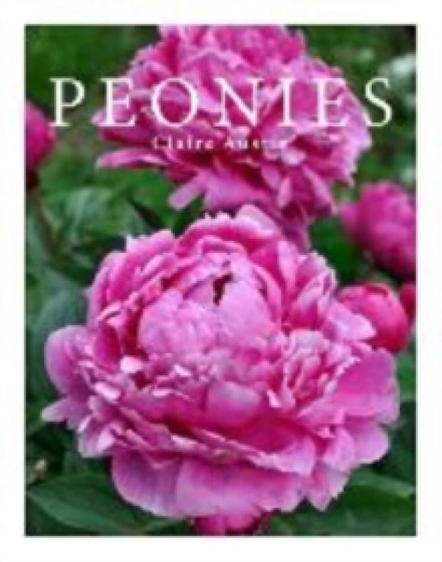 Peonies. Hardback. By Claire Austin Books