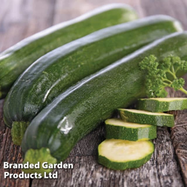 Thompson & Morgan Courgette (Zucchini) 1 Packet (25 Seeds)