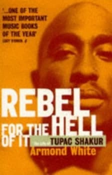 Rebel for the Hell of It by Armond White Paperback