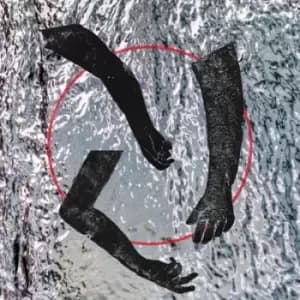 Flesch by The Ninth Wave CD Album