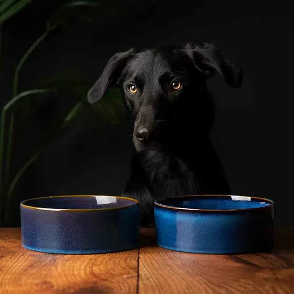 Scruffs Luxirous Reactive Glaze Dog Bowl Set - Blue 19cm SET/RCD/829092