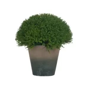 25cm Artificial Hebe Globe Pot