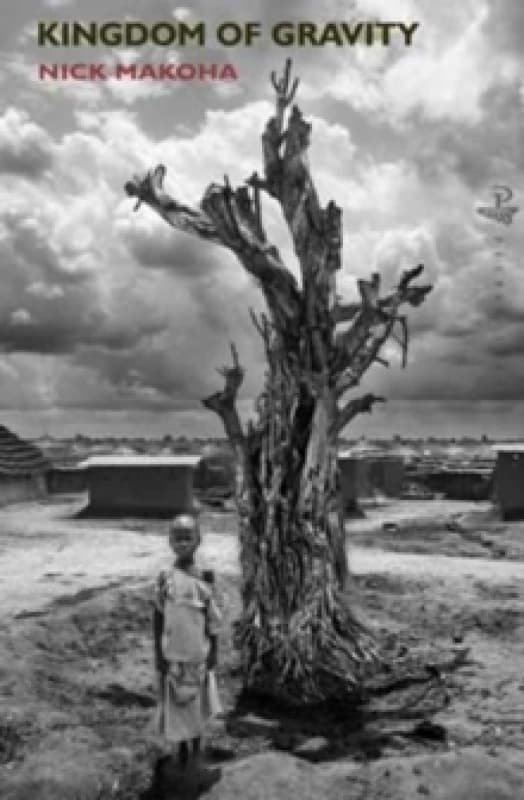 Kingdom of Gravity Paperback / softback