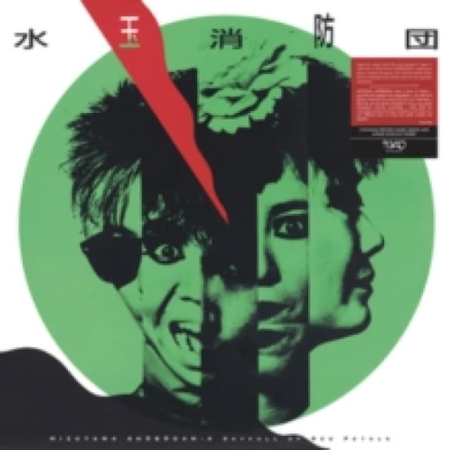 A Skyfull of Red Petals Vinyl