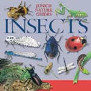 Insects Hardback
