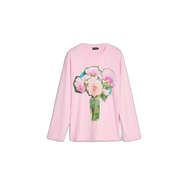 Desigual Womens long sleeve T-Shirt Desigual Abroath Rose Female M