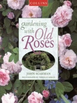 Gardening with Old Roses by John Scarman Paperback
