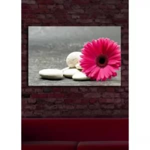 4570?ACT-14 Multicolor Decorative LED Lighted Canvas Painting