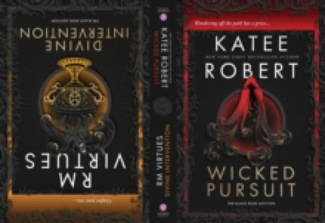 Wicked Pursuit & Divine Intervention : Books 1 & 2 in the Dark Romance Fairy Tale Retelling Series Paperback / softback
