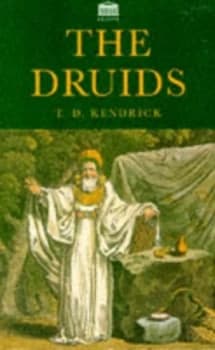 The Druids by Morga Llywelyn Paperback