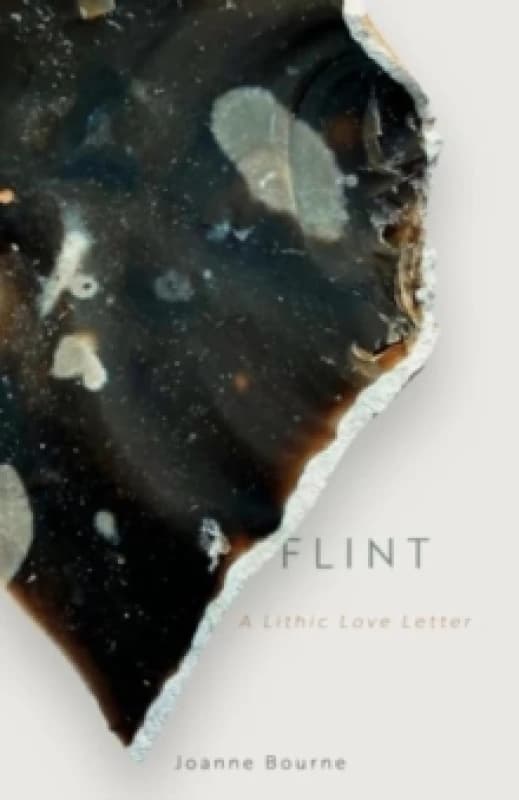 Flint : A lithic love letter Hardback