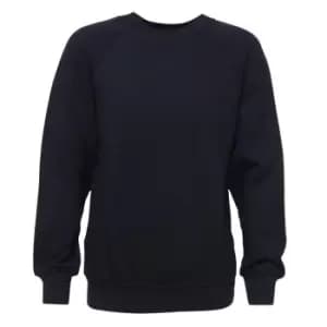 Absolute Apparel Childrens/Kids Sterling Sweat (5-6 Years (116cm)) (Navy)