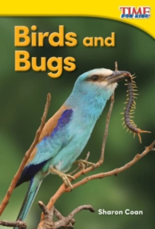 Birds and Bugs Paperback