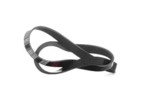 RIDEX V-ribbed belt VW,MERCEDES-BENZ,FORD 305P0320 7198535,95VW6C301JA,A0119976992 GMB71288,GMB71290
