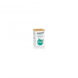 Dragonfly Tea - Peppermint Tea