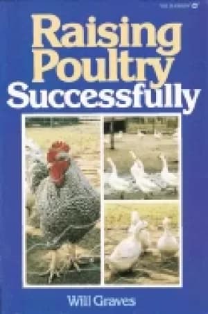 raising poultry successfully