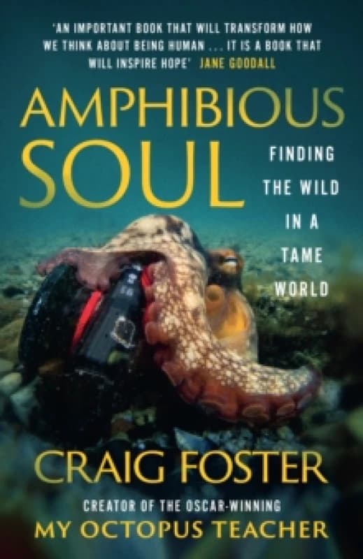 Amphibious Soul : Finding the Wild in a Tame World Paperback / softback