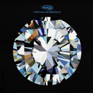 What Are We Fighting For by Dodgy CD Album