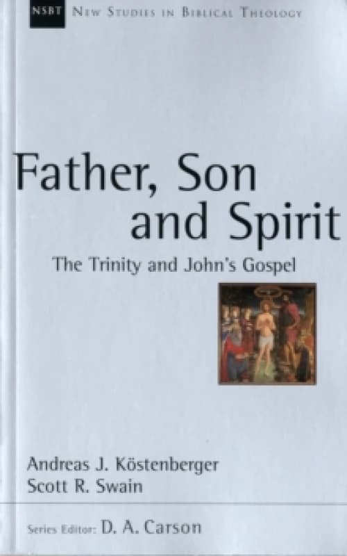 Father, Son and Spirit : The Trinity And John'S Gospel Paperback / softback