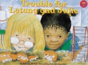 Trouble for Letang and Julie by Beverley Naidoo Paperback