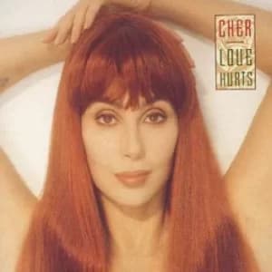 Love Hurts by Cher CD Album