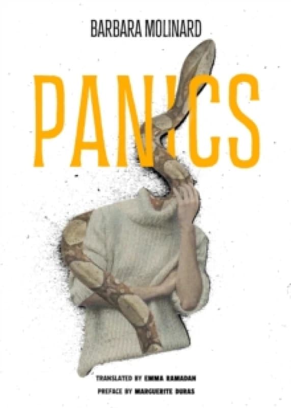 Panics Paperback / softback