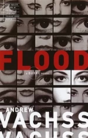 Flood by Andrew H Vachss