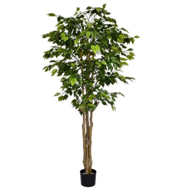 N/A 180cm Fire Retardant Deluxe Retusa Ficus Tree With 1134 Leaves