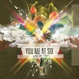 Hold Me Down by You Me At Six CD Album