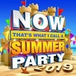 Various Artists - NOW That's What I Call Summer Party 2019