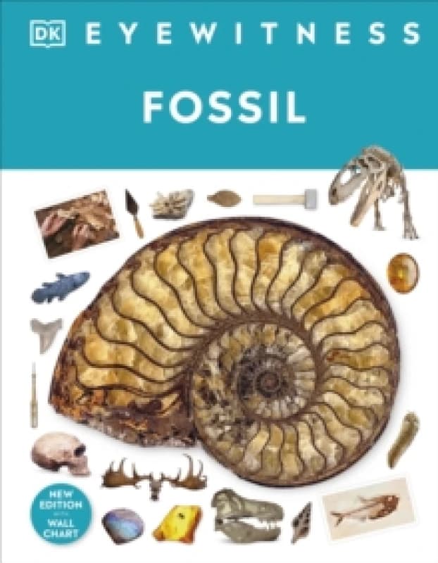 Fossil Hardback