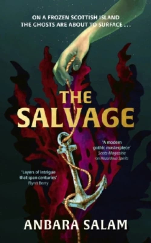 The Salvage : A gothic tale with a powerful sense of place and an eerie atmosphere Sunday Times Hardback