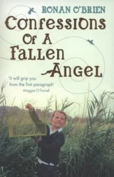 Confessions of a Fallen Angel by Ronan Obrien Paperback