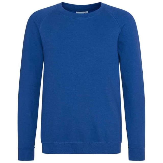 AWDis Academy Raglan Sweatshirt in Royal Size: 3-4 Years Royal Unisex 3-4 Years