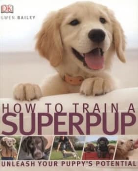How to Train a Superpup by Gwen Bailey Paperback