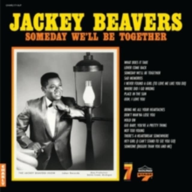 Someday We'll Be Together Vinyl