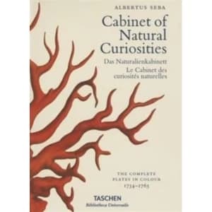 Albertus Seba's Cabinet of Natural Curiosities by Jes Rust, Irmgard Musch, Rainer Willmann (Hardback, 2015)