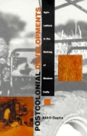 postcolonial developments agriculture in the making of modern india