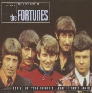 The Very Best of the Fortunes by The Fortunes CD Album