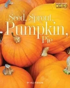 seed sprout pumpkin pie