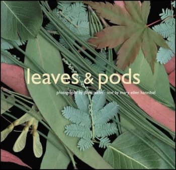 Leaves & pods by Josie Iselin